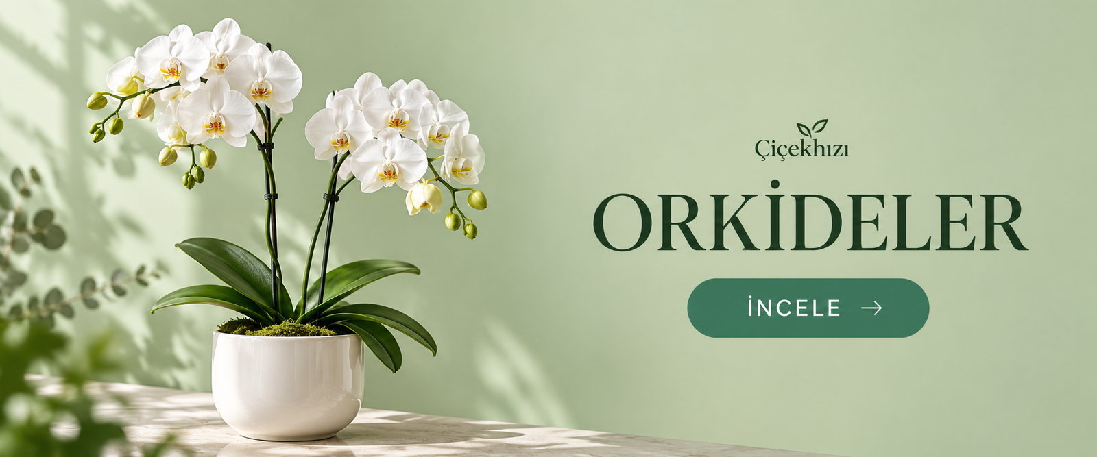 Orkideler